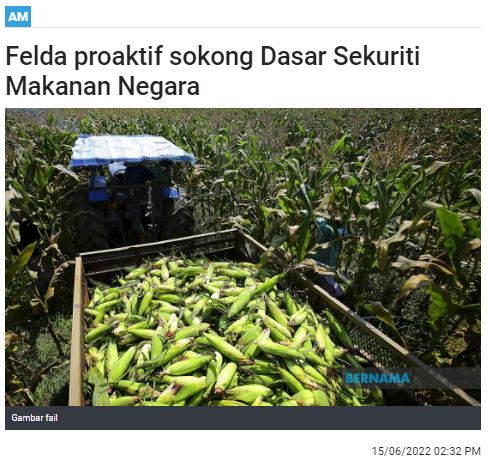 Felda rancang laksana projek tanaman jagung bijian SInar Harian 15062022