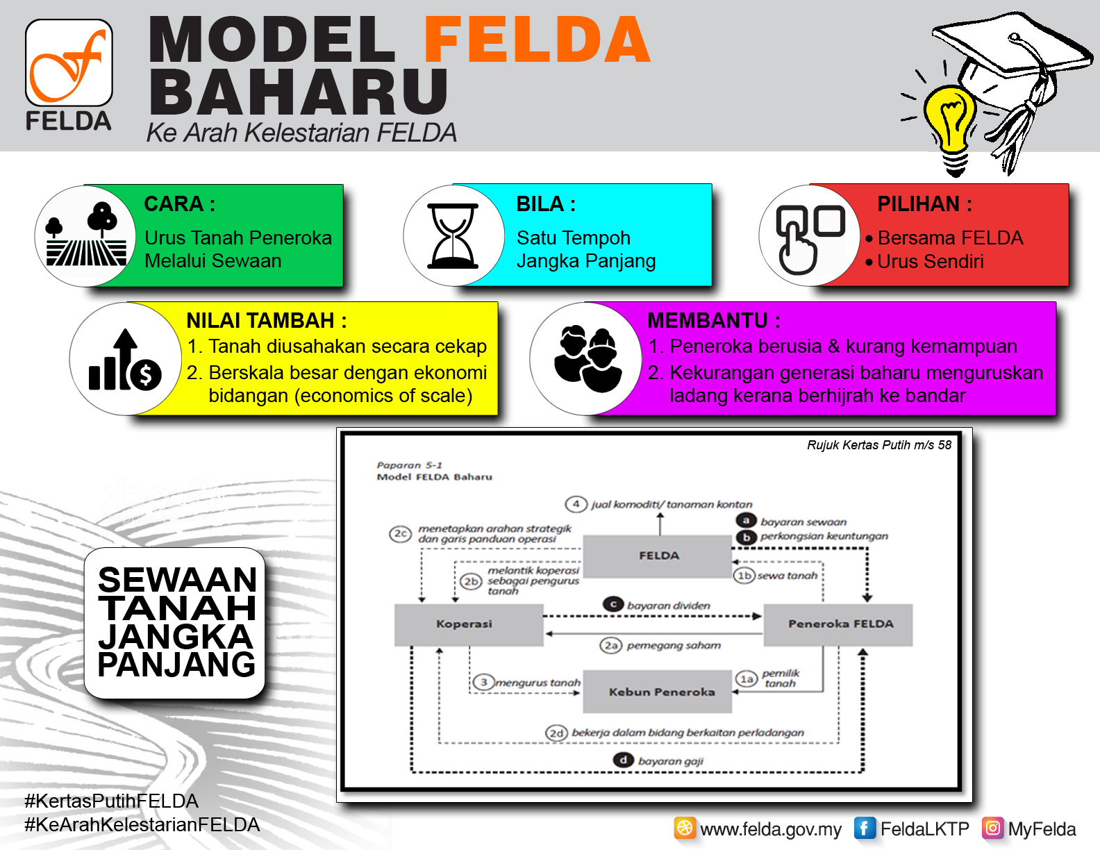 WP Infographic 4