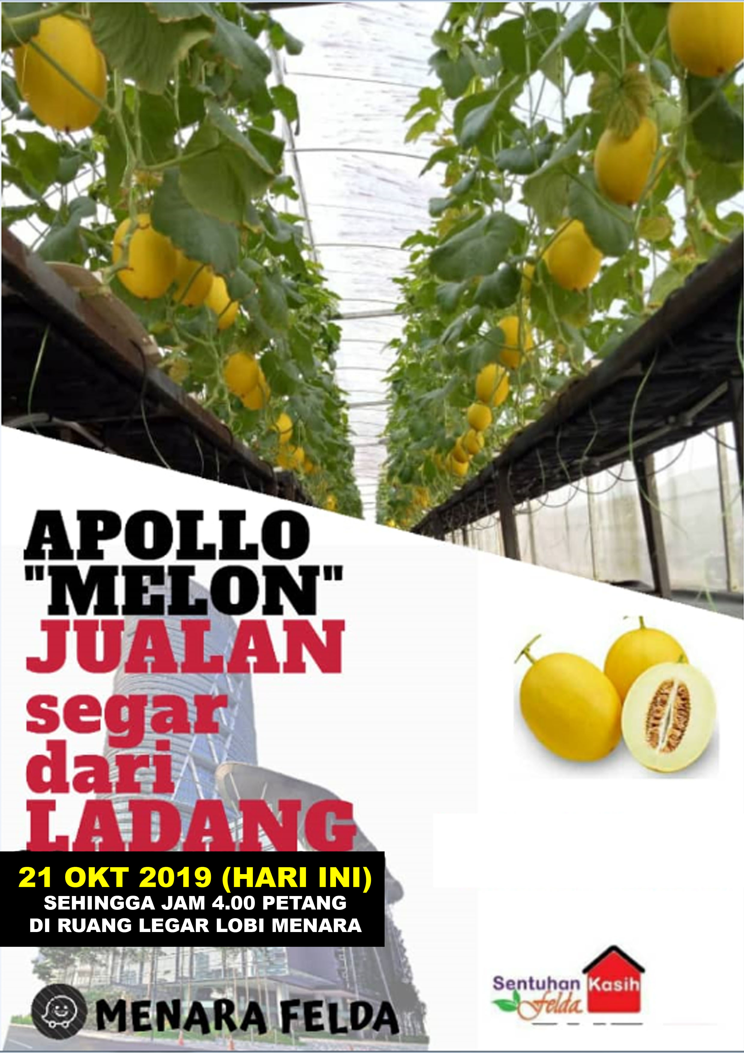 Appolo Melon Today