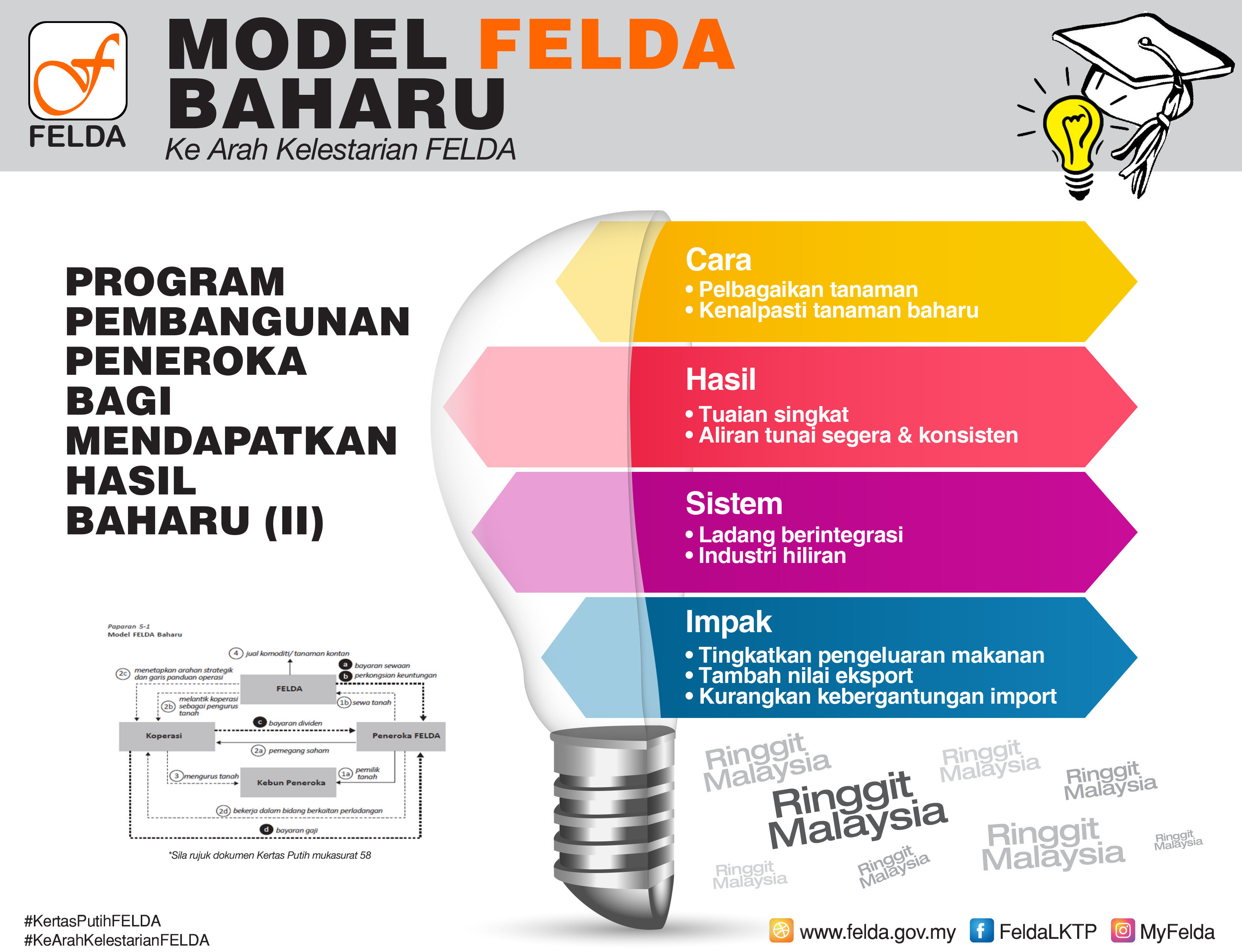 WP Infographic Image 5