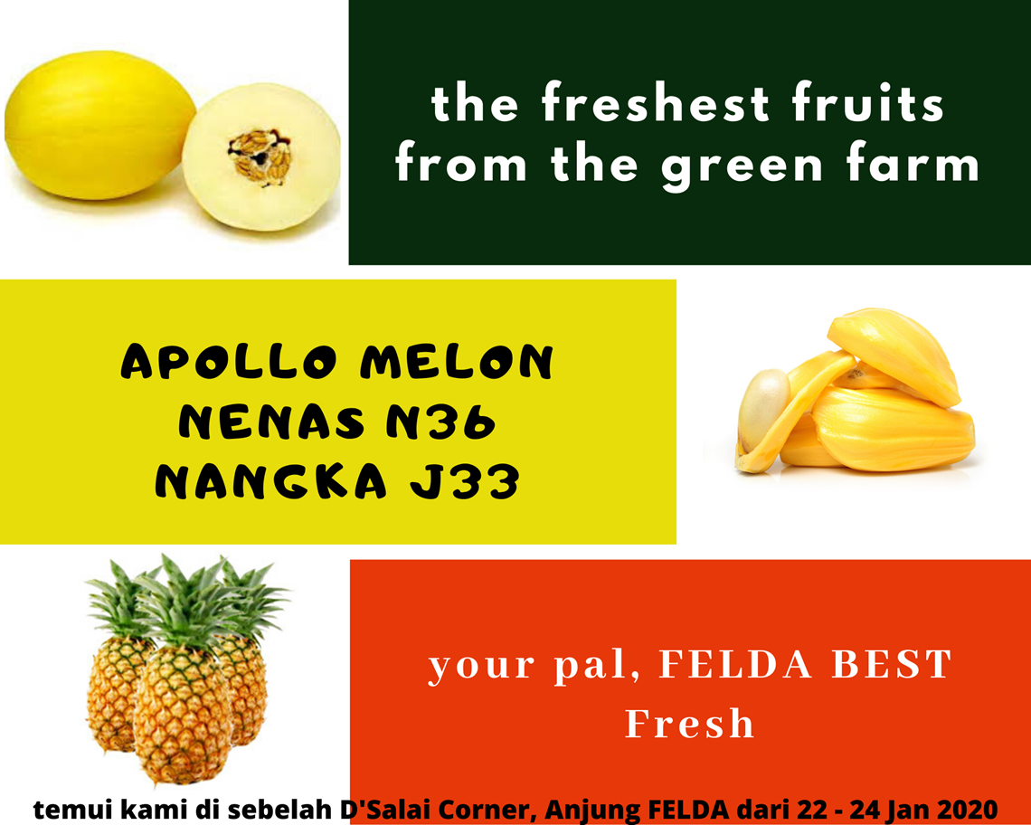 JUALAN PROMOSI FRESH FRUITS JPPT