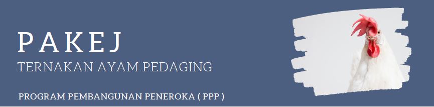 koperasi ayam pedaging