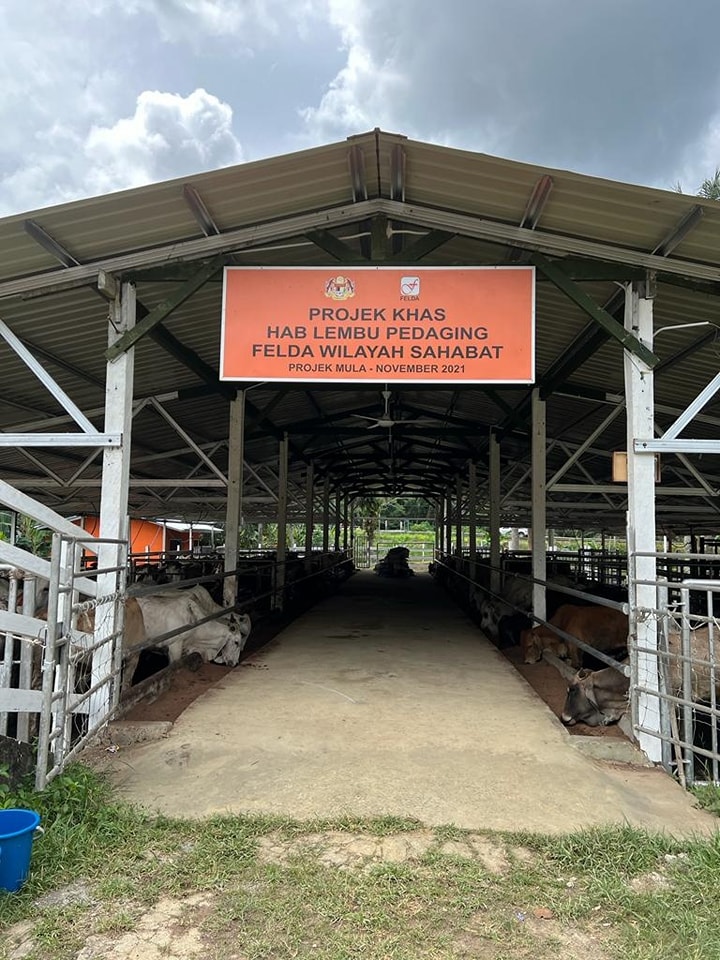 FELDA Projek Khas PPP Hab Lembu Pedaging FELDA Sahabat