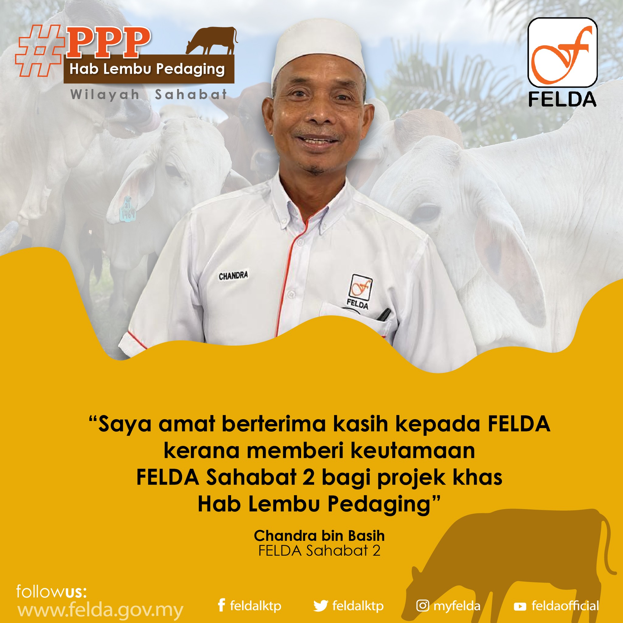 FELDA Program Pembangunan Peneroka Hab Lembu Pedaging FELDA Sahabat